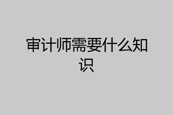 审计师需要什么知识
