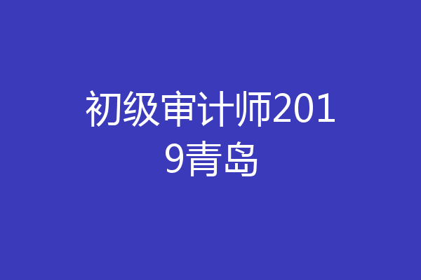 初级审计师2019青岛