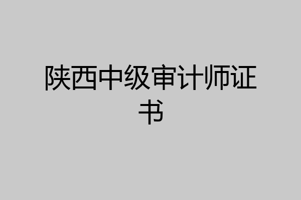 陕西中级审计师证书