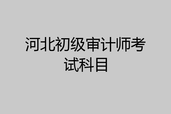 河北初级审计师考试科目