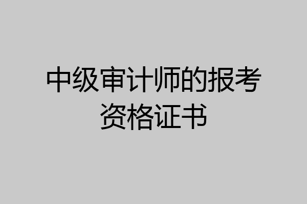 中级审计师的报考资格证书