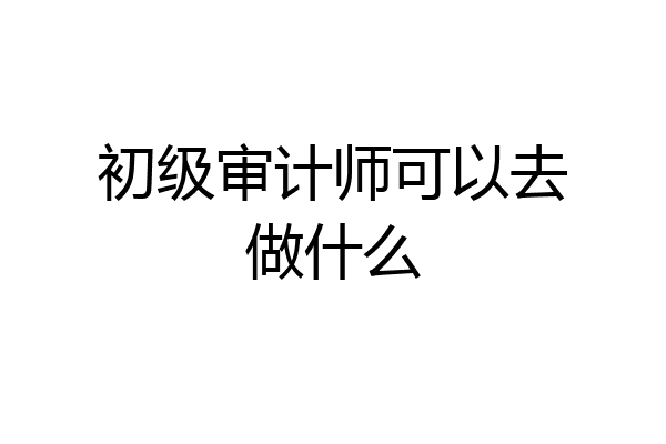 初级审计师可以去做什么
