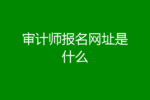 审计师报名网址是什么
