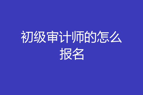 初级审计师的怎么报名