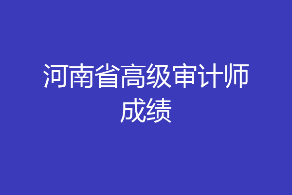 河南省高级审计师成绩
