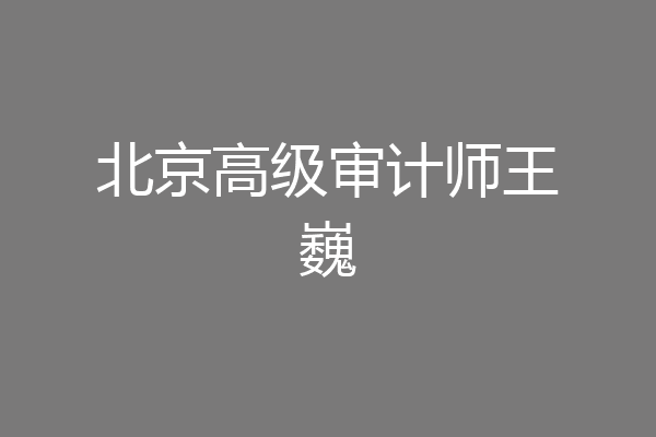 北京高级审计师王巍