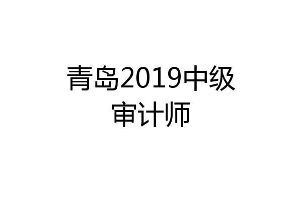 青岛2019中级审计师