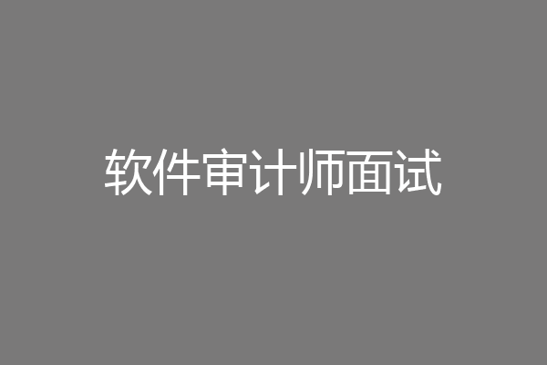 软件审计师面试