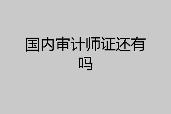 国内审计师证还有吗