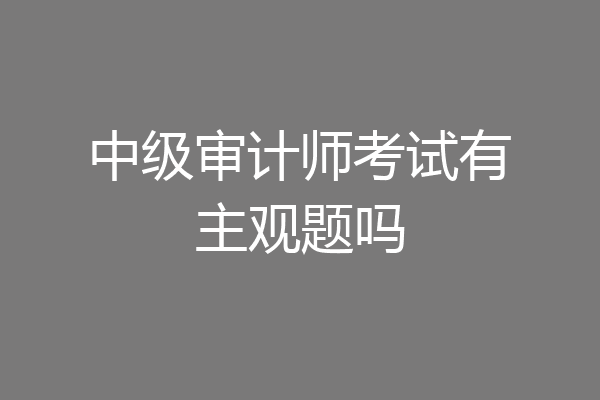 中级审计师考试有主观题吗