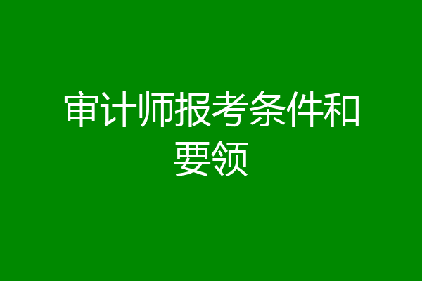 审计师报考条件和要领
