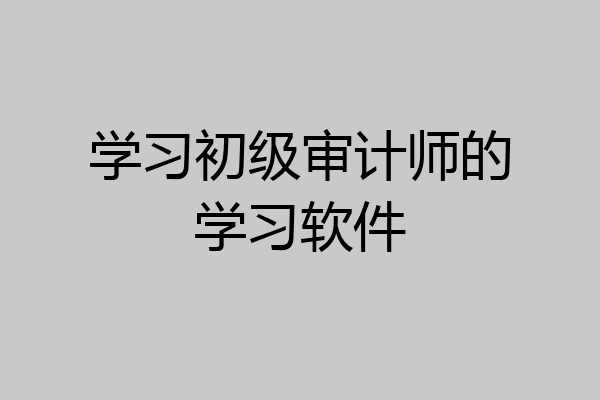 学习初级审计师的学习软件