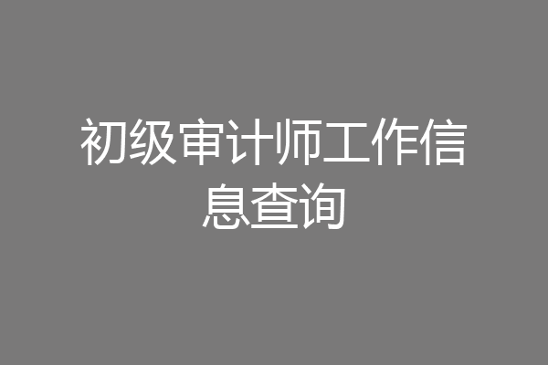 初级审计师工作信息查询