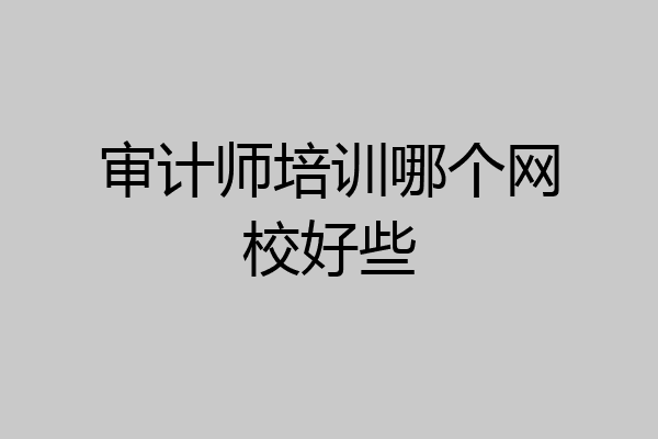 审计师培训哪个网校好些