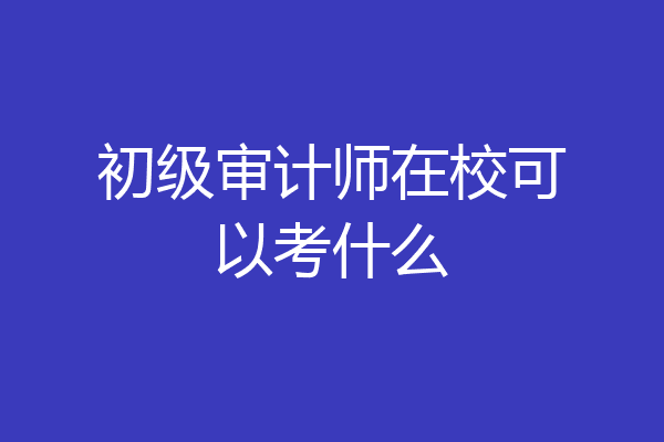 初级审计师在校可以考什么