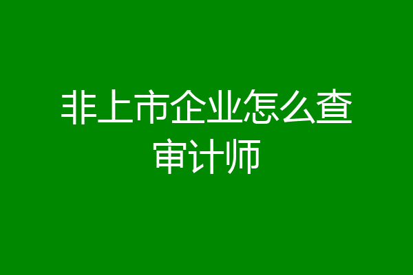 非上市企业怎么查审计师