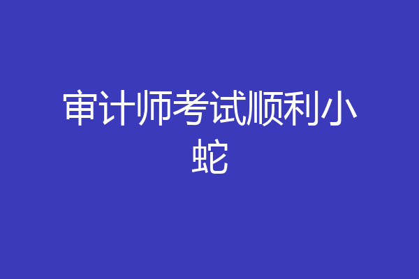 审计师考试顺利小蛇