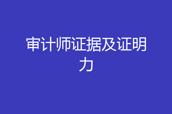 审计师证据及证明力