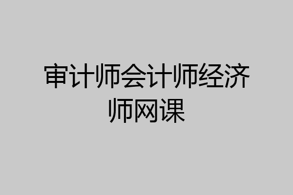 审计师会计师经济师网课