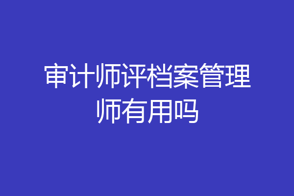 审计师评档案管理师有用吗
