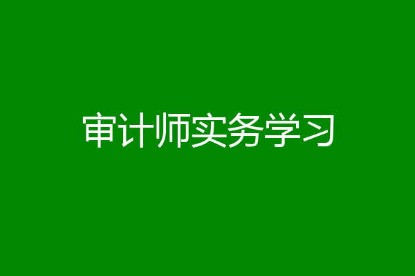 审计师实务学习