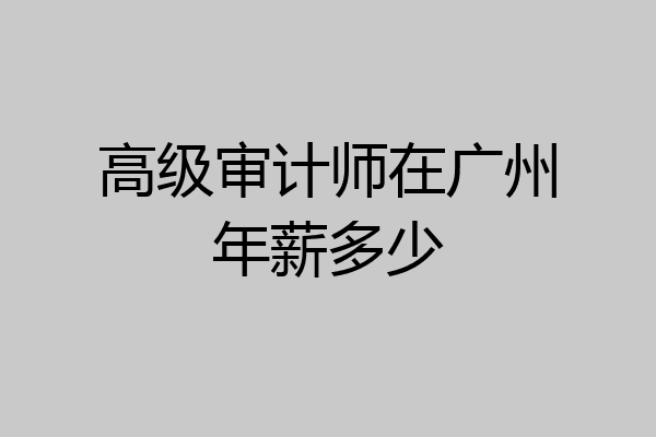 高级审计师在广州年薪多少