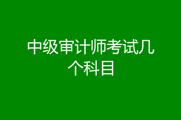 中级审计师考试几个科目