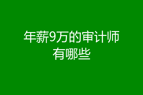 年薪9万的审计师有哪些