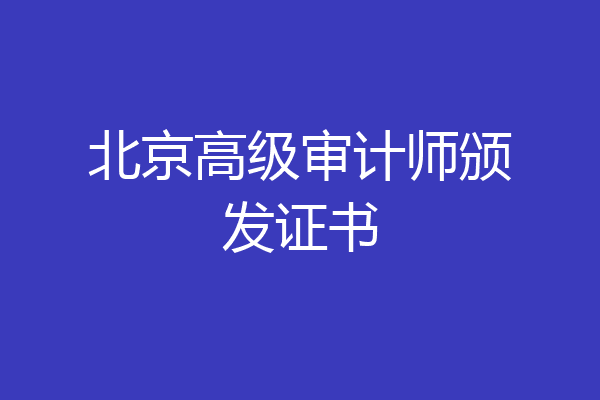 北京高级审计师颁发证书
