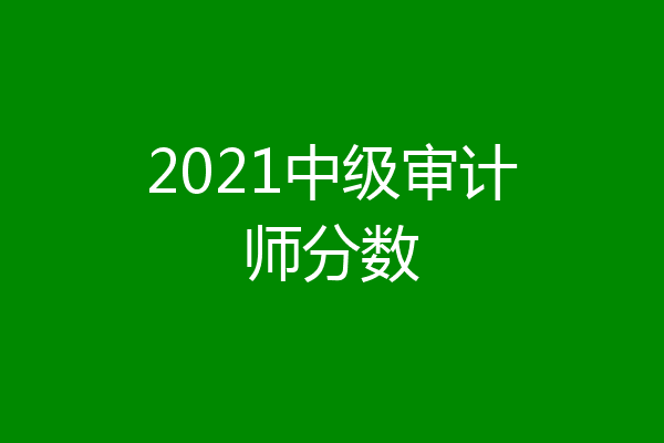 2021中级审计师分数