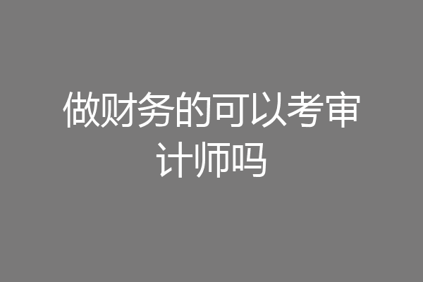 做财务的可以考审计师吗