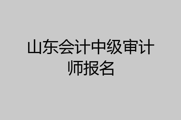 山东会计中级审计师报名