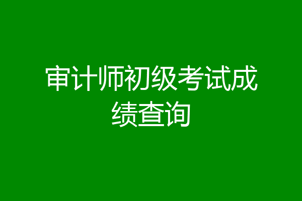 审计师初级考试成绩查询