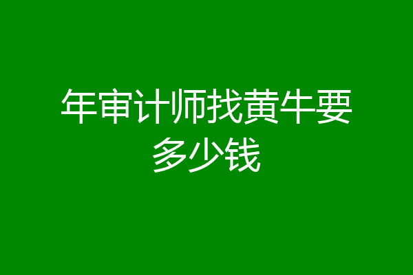 年审计师找黄牛要多少钱