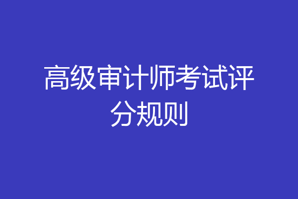 高级审计师考试评分规则