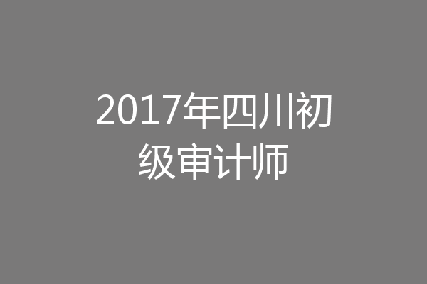 2017年四川初级审计师