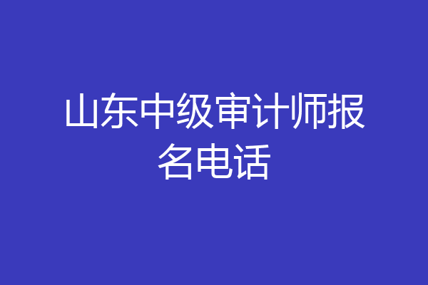 山东中级审计师报名电话