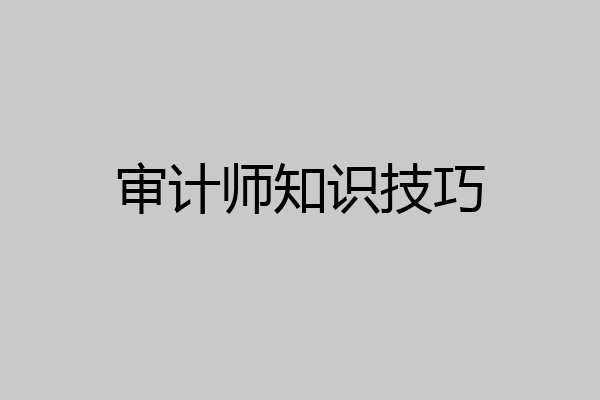 审计师知识技巧