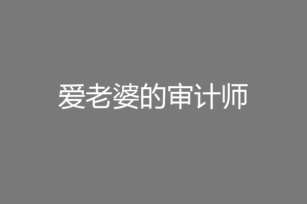 爱老婆的审计师