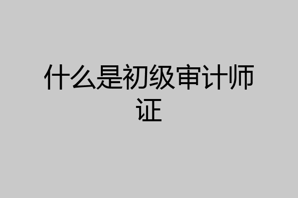 什么是初级审计师证