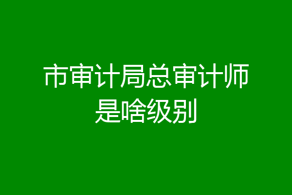 市审计局总审计师是啥级别