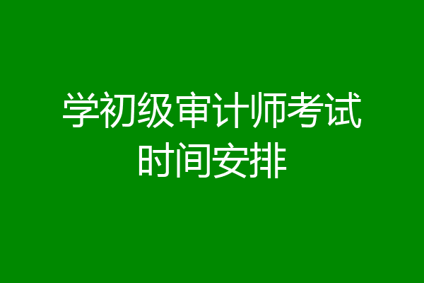 学初级审计师考试时间安排