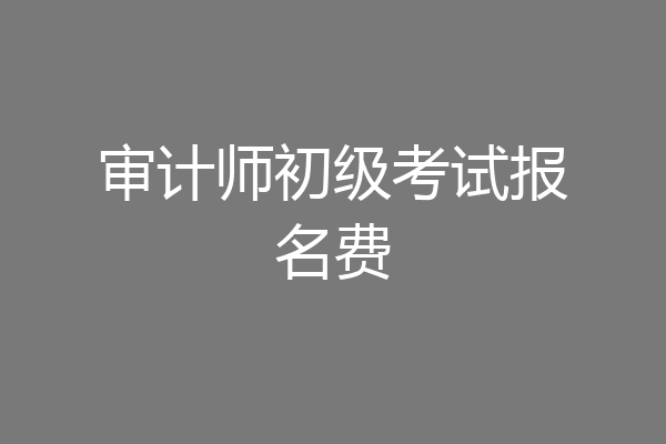 审计师初级考试报名费