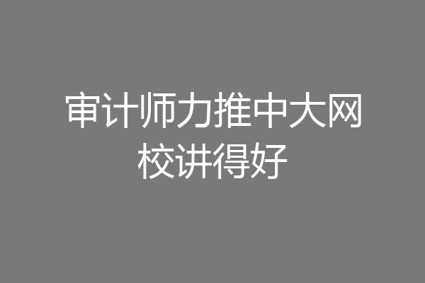 审计师力推中大网校讲得好