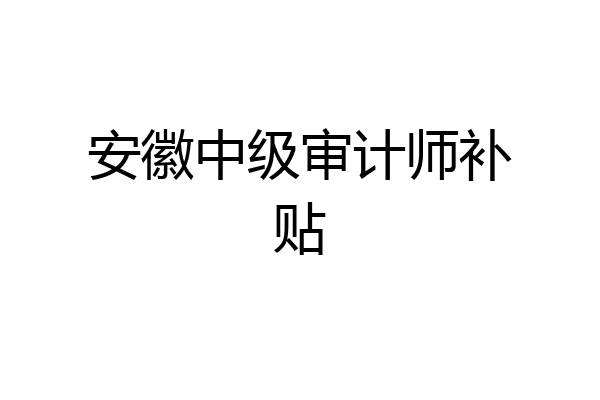 安徽中级审计师补贴