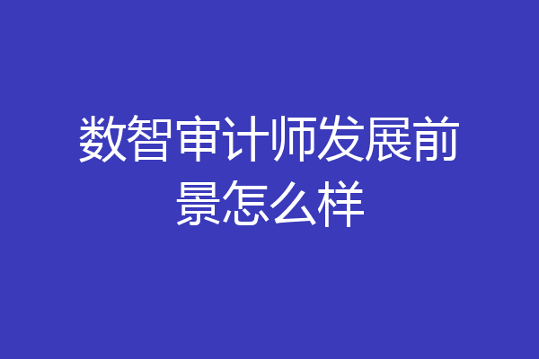 数智审计师发展前景怎么样