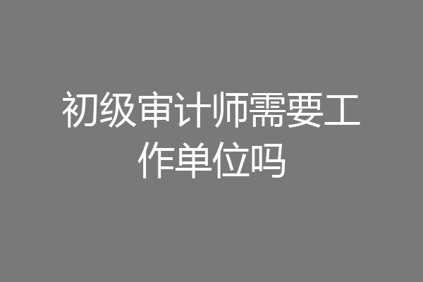 初级审计师需要工作单位吗