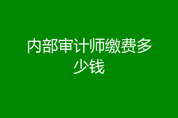 内部审计师缴费多少钱