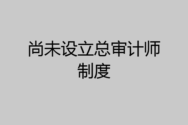 尚未设立总审计师制度