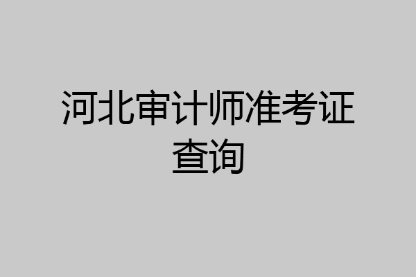 河北审计师准考证查询